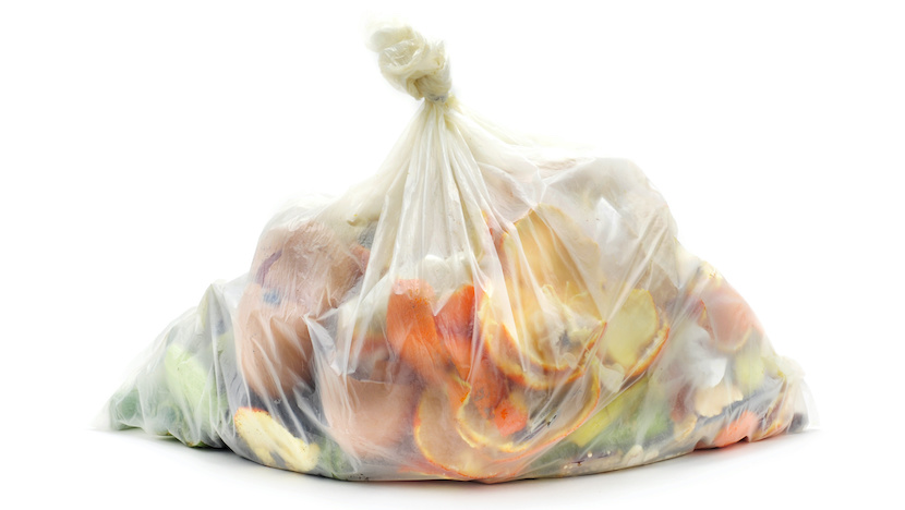 biodegradable waste in a biodegradable bag
