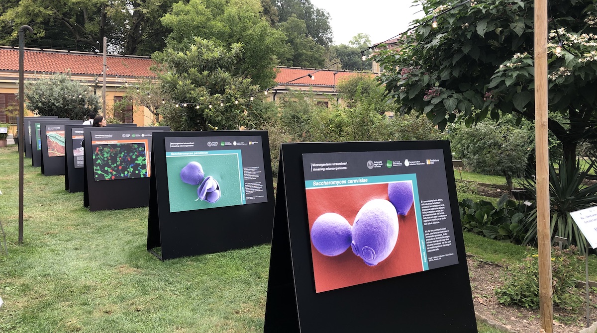 Orto Botanico Torino Mostra microorganismi straordinari