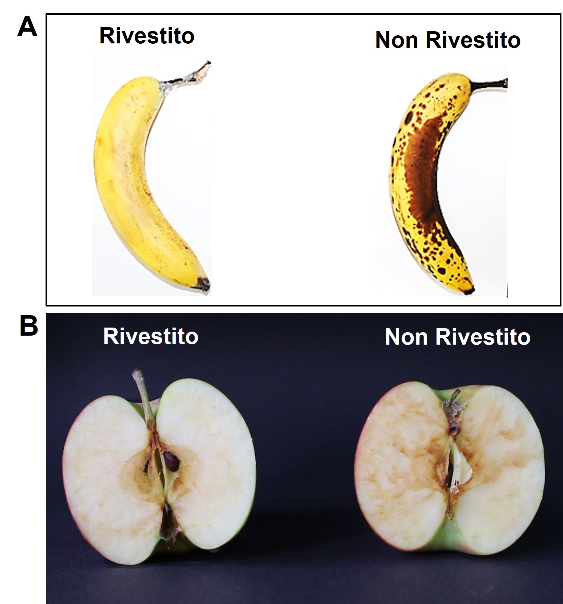 GSICA Stato di conservazione di banane e mele con coating a base di CNF