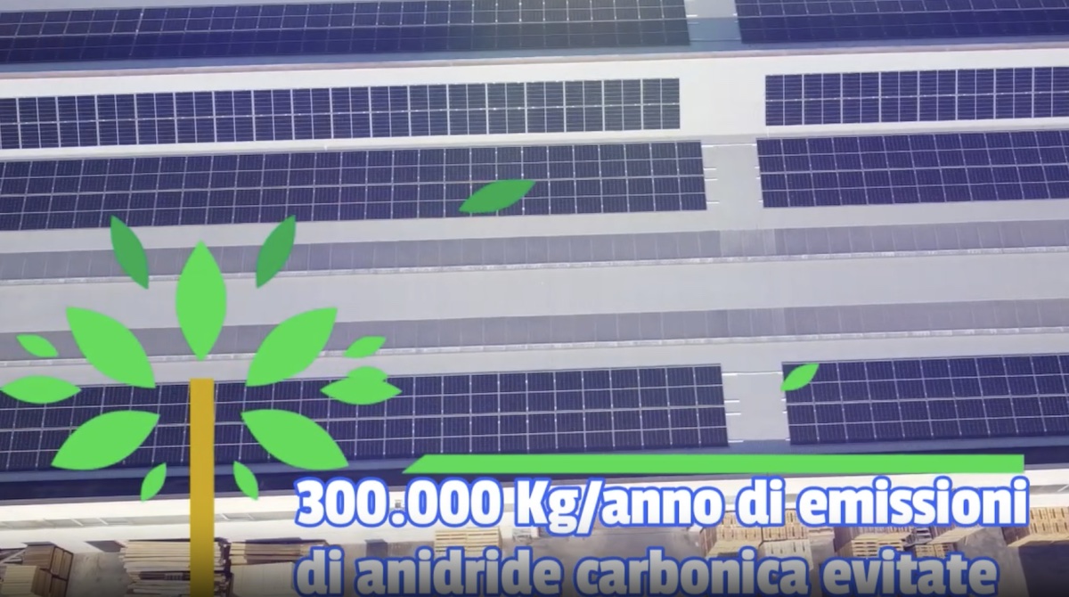 Barigazzi pallets impianto fotovoltaico