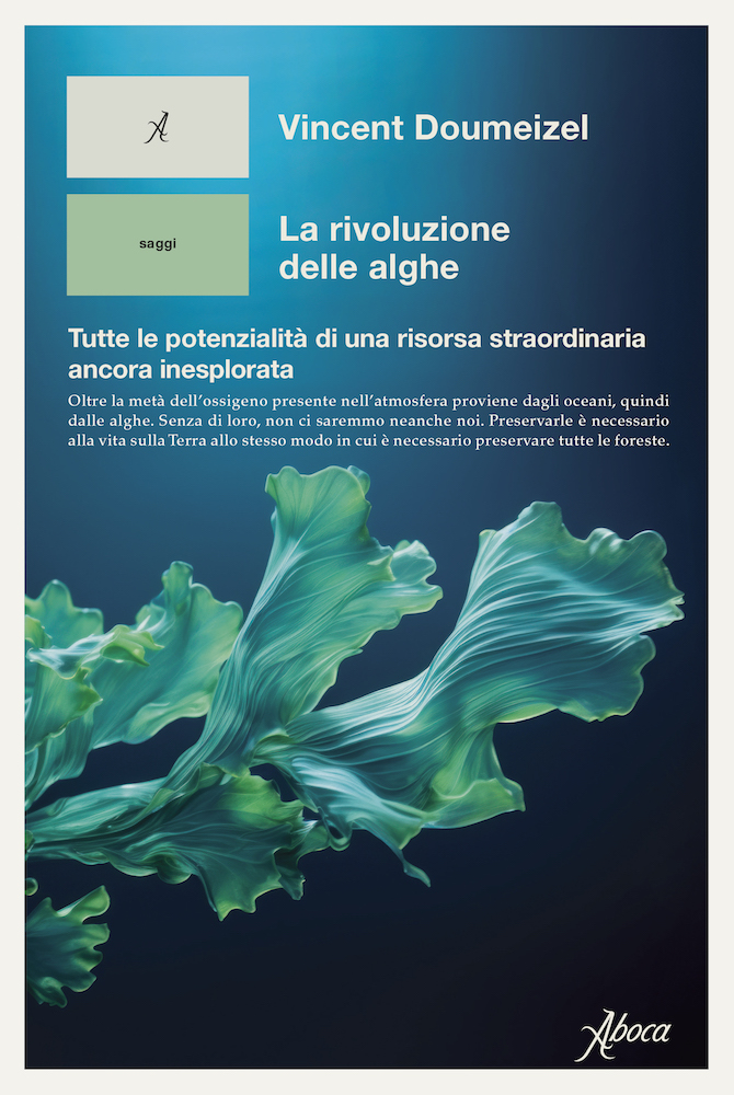 La rivoluzione delle alghe _ Doumeizel packaging applications
