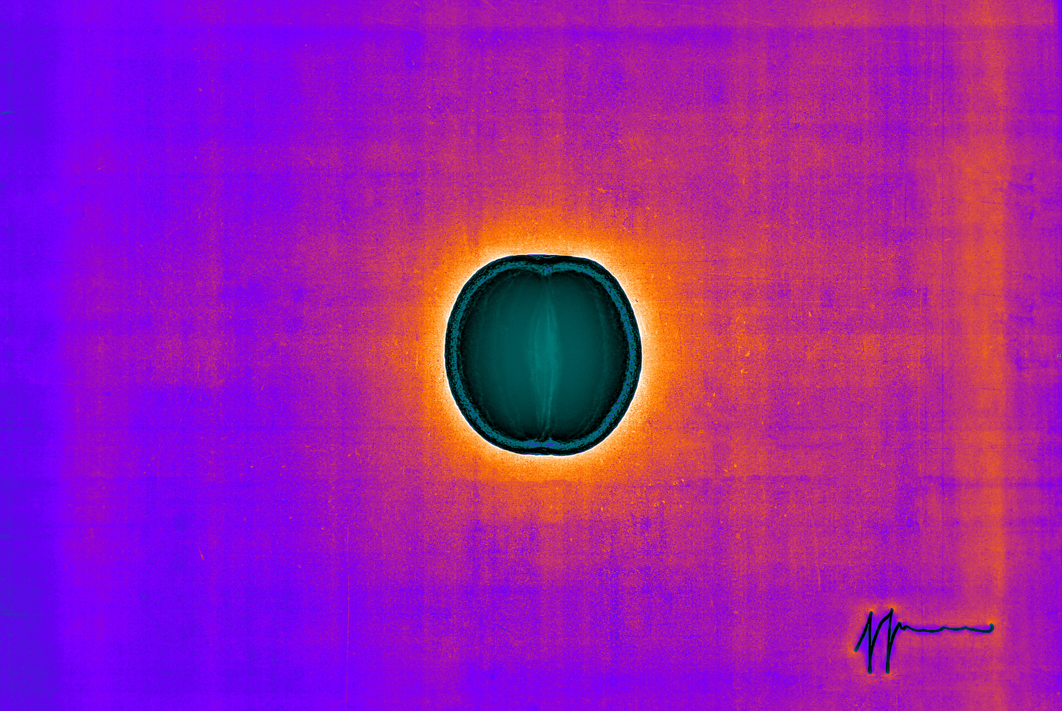 Orange Eclipse_col di Simone Sola