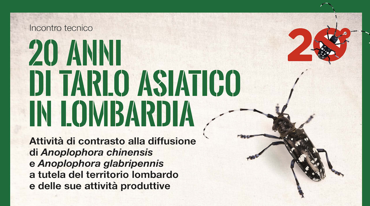 Rischio fitosanitario ERSAF Legno