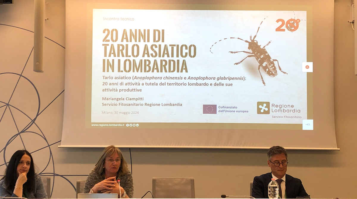 da sinistra Marina Pedersoli, Mariangela Ciampitti e Andrea Azzoni