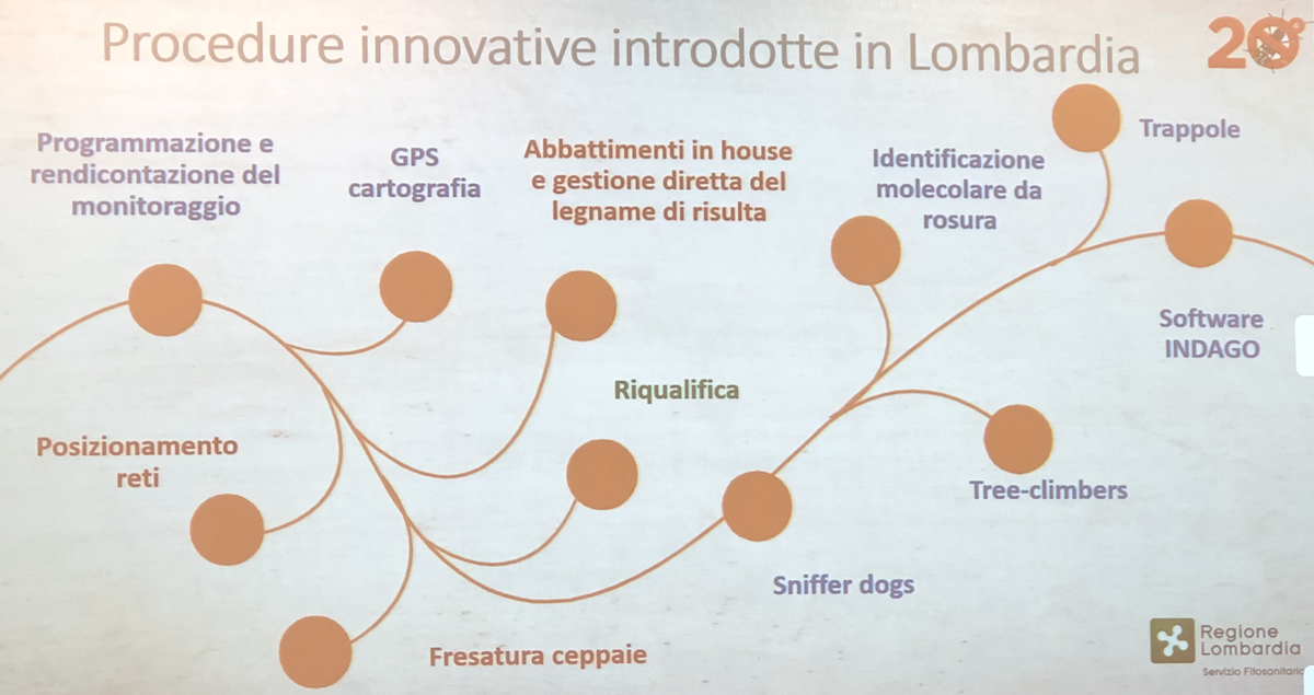 servizio fitosanitario regione lombardia tarlo asiatico