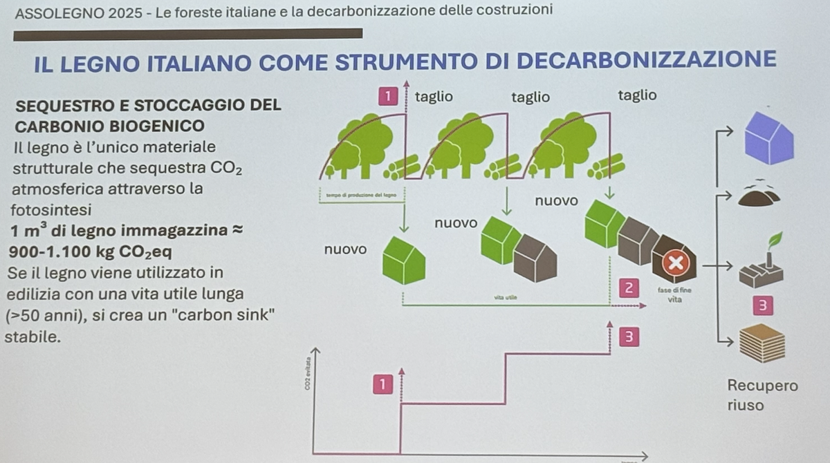 Assolegno 2025 decarbonizzazione