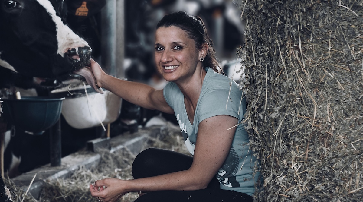 Dalter alimentari bilancio di sostenibilità