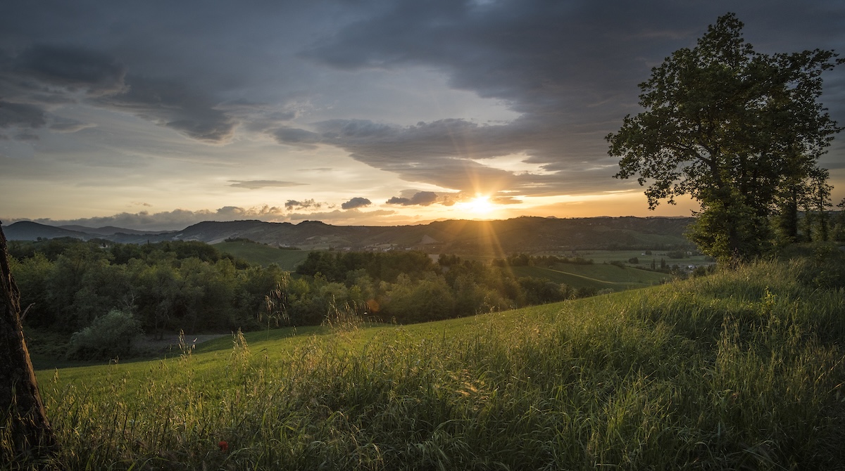 Dalter alimentari bilancio di sostenibilità