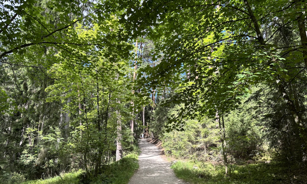 Foreste legali