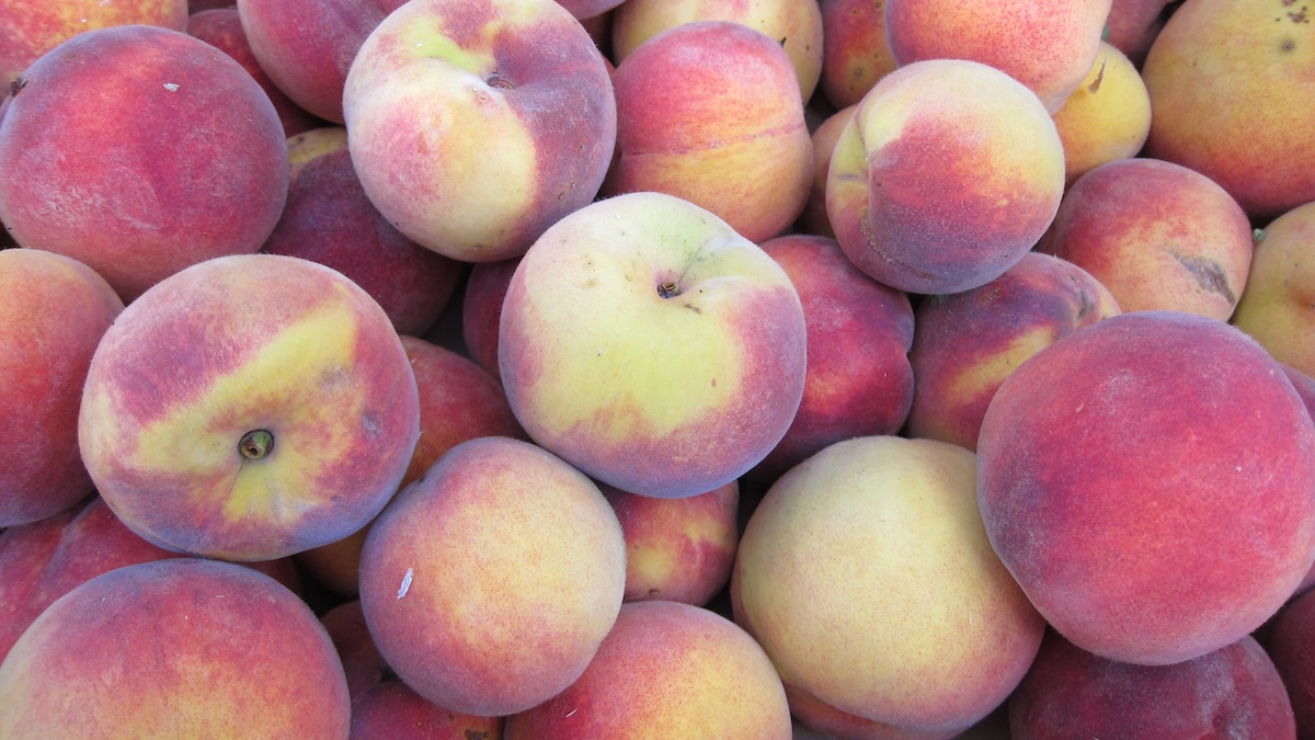 Organizzazione Interprofessionale Ortofrutta Italia