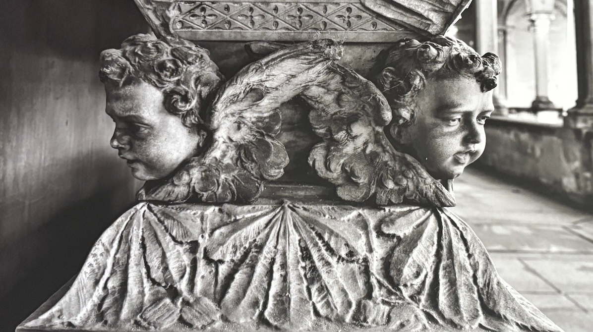 Deadline mostra a Pavia