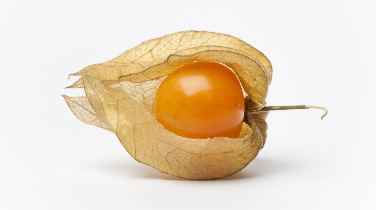 Pro Food LCA Disafa impatti packaging e agricoltura