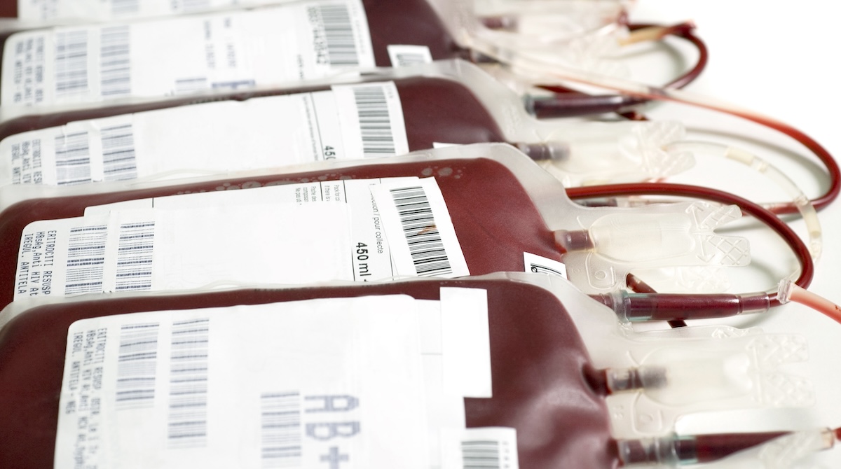 Sacche di sangue con tag PJM