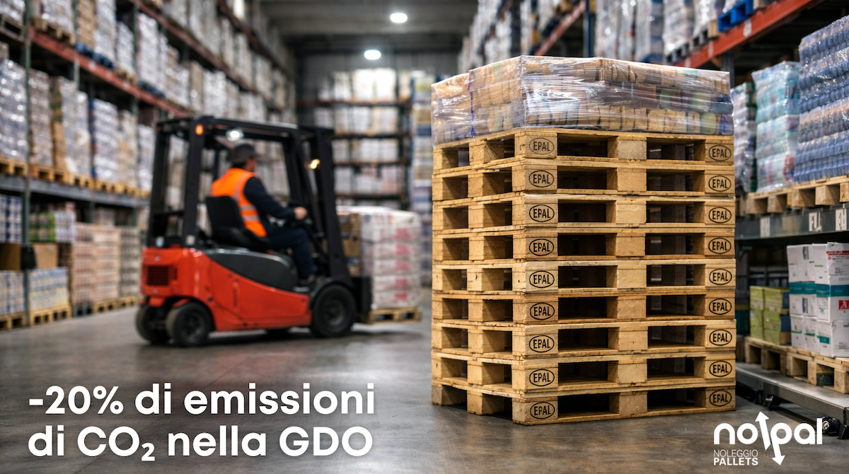 Nolpal sicilia Gruppo Ergon