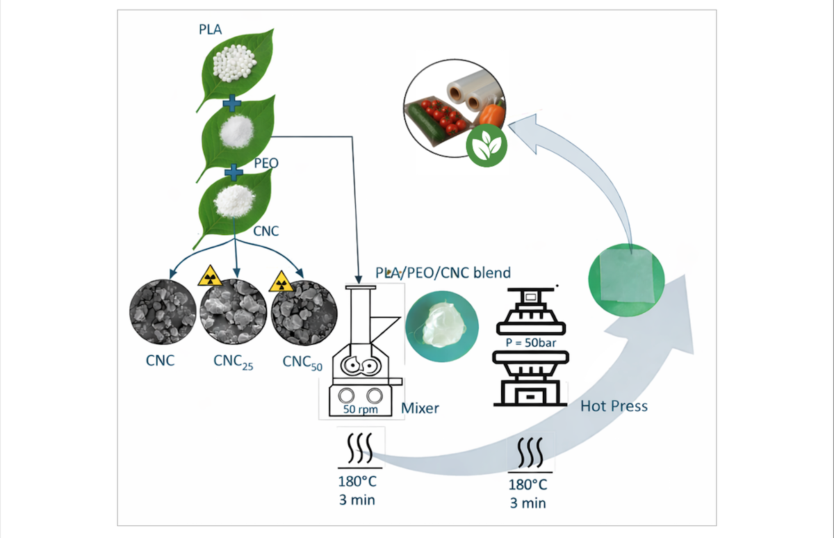 GSICA PLA e CNC di cellulosa