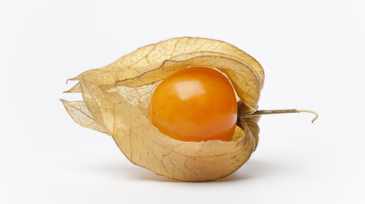 bioplastiche compostabile