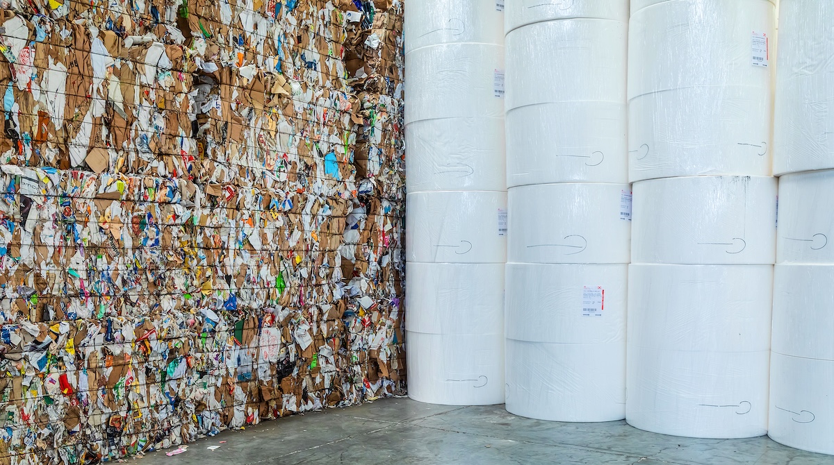 carta, packaging cellulosico e PPWR