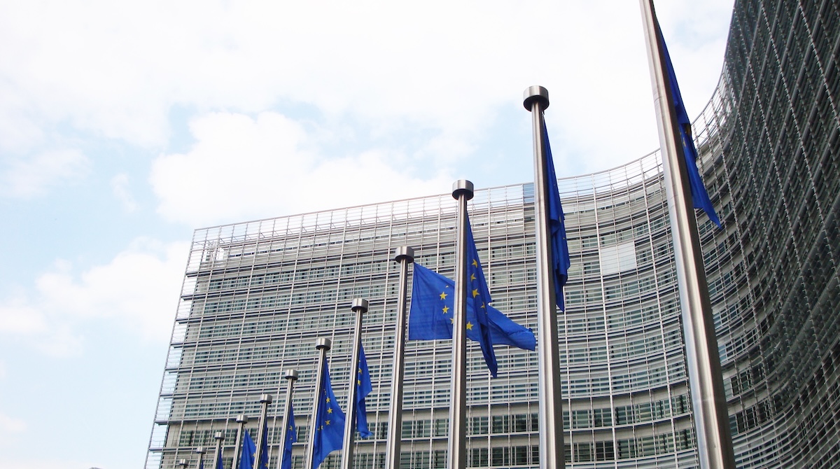 commissione linee guida ppwr