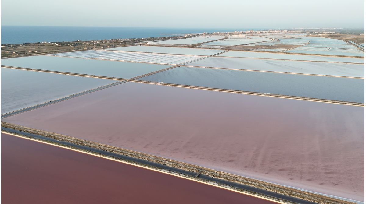 Atisale Saline Margherita di Savoia