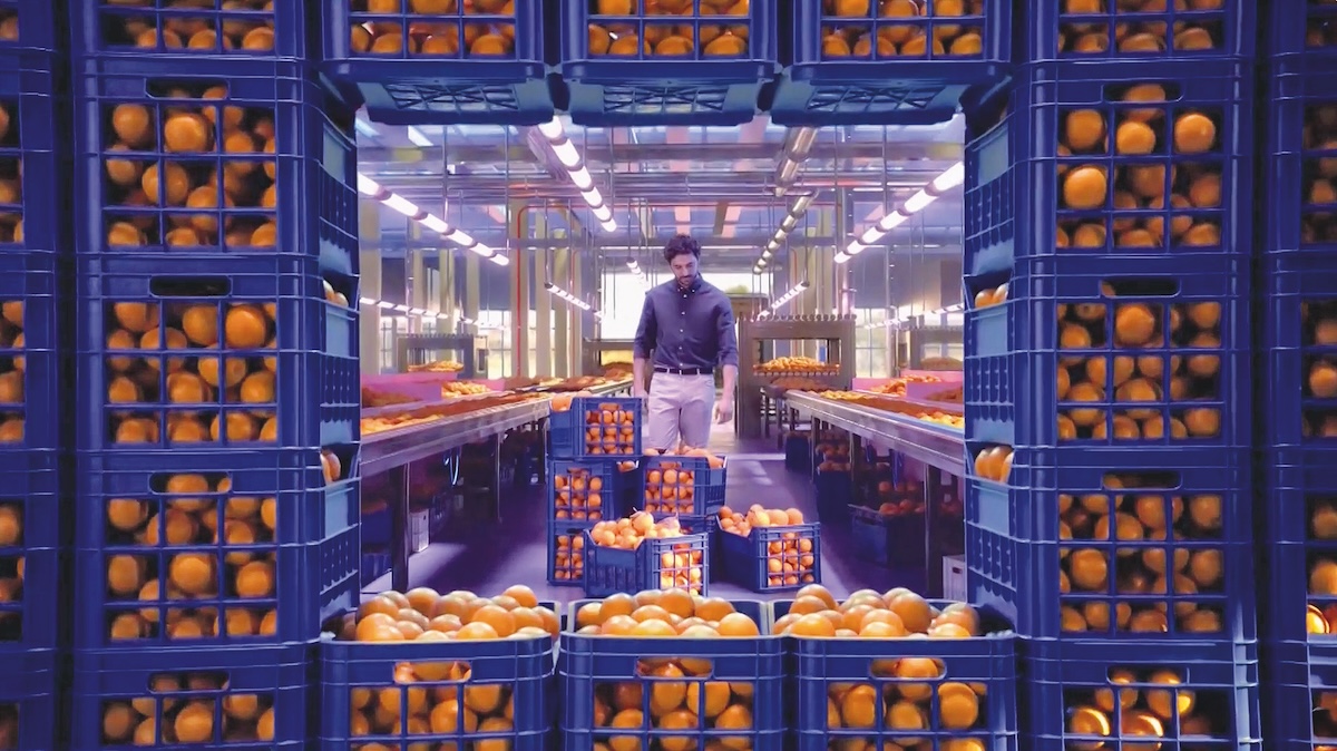 Banca IFIS casse ortofrutta