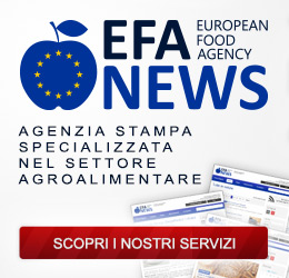 EFA News