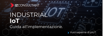 Izzo Consultant