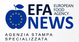 EFA News