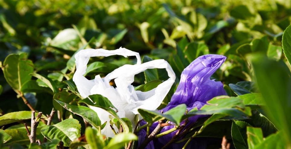 Divieto d’utilizzo della plastica monouso